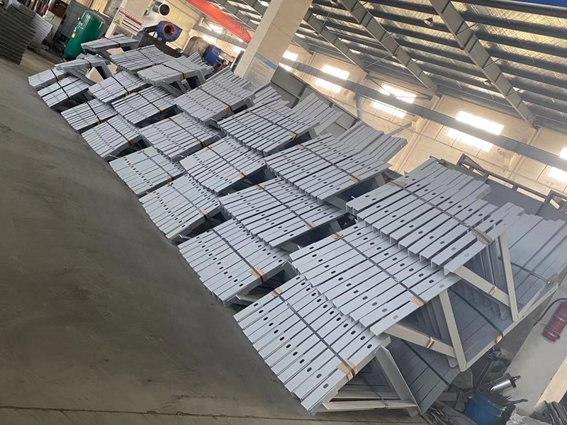 ����̎��